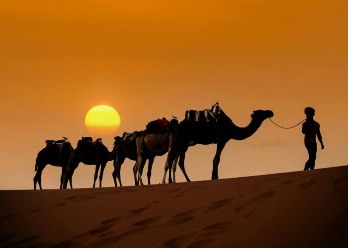 Tour De 11 Dias Marrocos Tânger